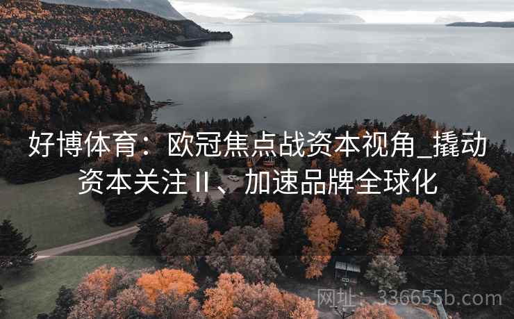 好博体育：欧冠焦点战资本视角_撬动资本关注Ⅱ、加速品牌全球化