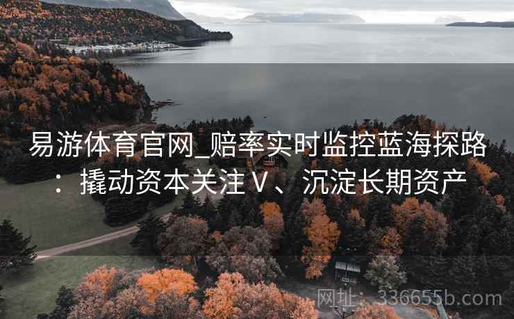 易游体育官网_赔率实时监控蓝海探路：撬动资本关注Ⅴ、沉淀长期资产