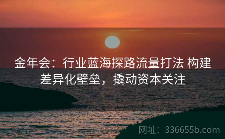 金年会：行业蓝海探路流量打法 构建差异化壁垒，撬动资本关注