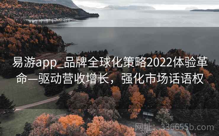 易游app_品牌全球化策略2022体验革命—驱动营收增长，强化市场话语权