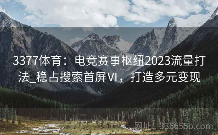 3377体育：电竞赛事枢纽2023流量打法_稳占搜索首屏Ⅵ，打造多元变现