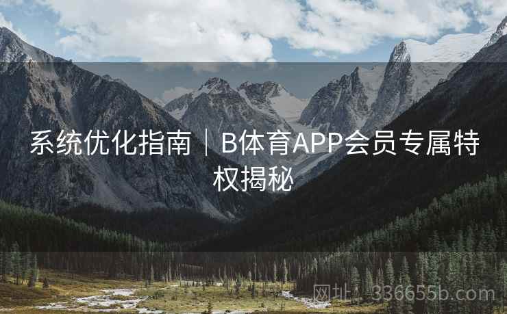 系统优化指南｜B体育APP会员专属特权揭秘